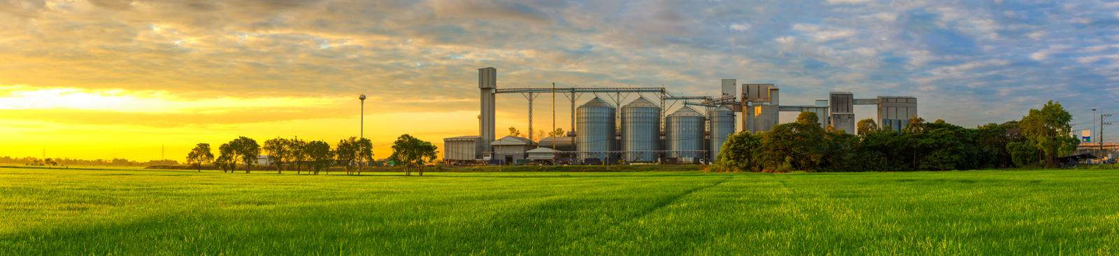 Green grassland at sunrise with a feed mill and grain silos behind a line of trees